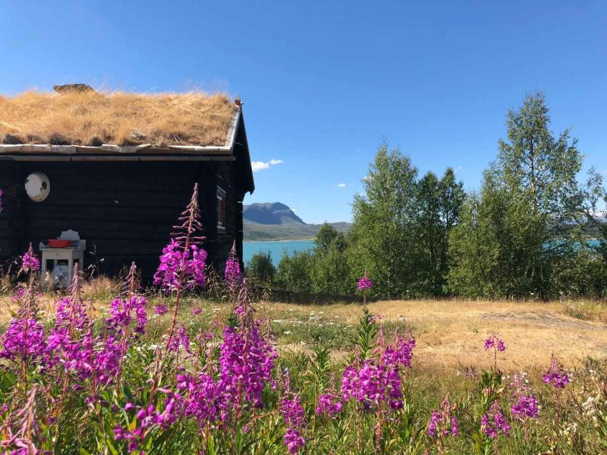 Brimi Fjellstugu Hotel Tessand Eksteriør billede